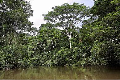 《Grand Emprise 2: Portals Apart》Steam页面上线 支持简中